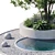 24-Piece Outdoor Plant Set 3D model small image 4