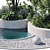 24-Piece Outdoor Plant Set 3D model small image 5