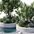 24-Piece Outdoor Plant Set 3D model small image 6