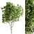 Vintage Persimmon Tree Set 265 3D model small image 1