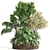 Modern Indoor Plant Set Collection 3D model small image 1