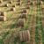 Rustic Farm Field Environment 3 3D model small image 4