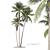 Coconut Palm Tree 3D model small image 1