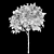 Catalpa Catawba Flowering Tree 3D model small image 6