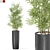 Diverse Plants Collection 1009 3D model small image 1