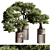 Bonsai Plant 625: Indoor Charm 3D model small image 2