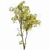 Seasonal Tree 3D Model Collection 3D model small image 6