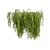 High-Quality Outdoor Ivy Bush 3D model small image 2