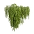 High-Quality Outdoor Ivy Bush 3D model small image 3