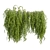 High-Quality Outdoor Ivy Bush 3D model small image 6