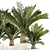 Exotic Plant Collection: Modern Decor 3D model small image 2