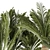 Exotic Plant Collection: Modern Decor 3D model small image 4