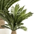 Exotic Plant Collection: Modern Decor 3D model small image 5