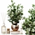 Elegant Home Decor Set 209 3D model small image 3