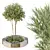 Urban Green Plant Bench Collection 3D model small image 1