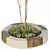 Urban Green Plant Bench Collection 3D model small image 2