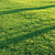 Pro Render Grass Pack 3D model small image 2