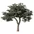 Sculpted Tree No.58 Miniature Figurine 3D model small image 1