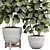  Ficus Indoor Plant 3D Model 3D model small image 2