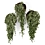 Concrete Pot Hanging Indoor Plants 3D model small image 4