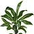 High-quality 3D Plant Models 3D model small image 2