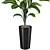 High-quality 3D Plant Models 3D model small image 4