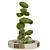 Urban Green Plant Bench Set 3D model small image 2