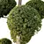 Urban Green Plant Bench Set 3D model small image 5