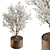 Gorgeous Bonsai Plant 624 3D model small image 1