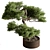 Bonsai Plant 626: Indoor Beauty 3D model small image 1