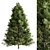 Arizona Cypress Tree Set 278 3D model small image 1