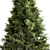 Arizona Cypress Tree Set 278 3D model small image 2