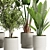 Modern Indoor Plant Set 2016 3D model small image 4