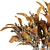 Decorative Dried Plant Collection Pack 3D model small image 3