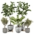 Vintage Indoor Plant Model 3D model small image 1