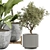 Vintage Indoor Plant Model 3D model small image 3