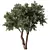  Modern 3D Tree Model 3D model small image 1