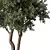  Modern 3D Tree Model 3D model small image 3