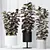 Burgundy Foliage Rubber Plant Trio 3D model small image 2