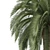 Exotic Macrozamia Palm Tree Model 3D model small image 2