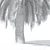 Exotic Macrozamia Palm Tree Model 3D model small image 4