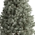 Russian Plum Pines Tree Set 3D model small image 2