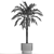 Exotic Palm Set in Modern Pot 3D model small image 7