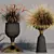 Pampas Grass Indoor Ornamental Plant 3D model small image 3