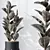 Elegant Rubber Ficus Melany Set 3D model small image 4