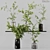 Diverse Indoor Plant Collection 3D model small image 1