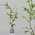 Diverse Indoor Plant Collection 3D model small image 3