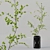 Diverse Indoor Plant Collection 3D model small image 4