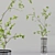 Diverse Indoor Plant Collection 3D model small image 6