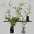 Diverse Indoor Plant Collection 3D model small image 8